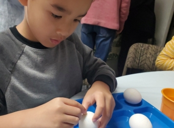 Coloring Eggs